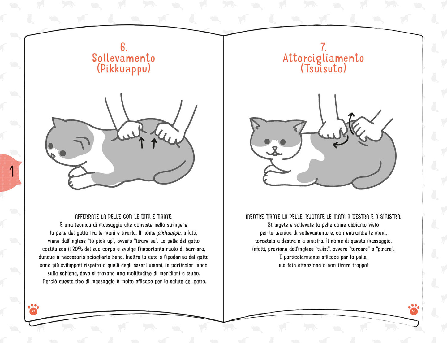 Coccole per gatti::Massaggi e carezze per felini felici