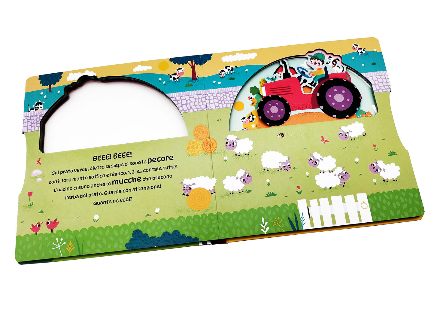 Gira gira. La fattora::Numeri