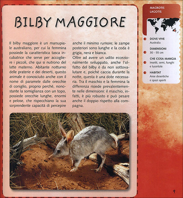 Il Cammello, il Pinguino... e gli animali estremi::Con fantastici occhialini per vedere le tavole tridimensionali!