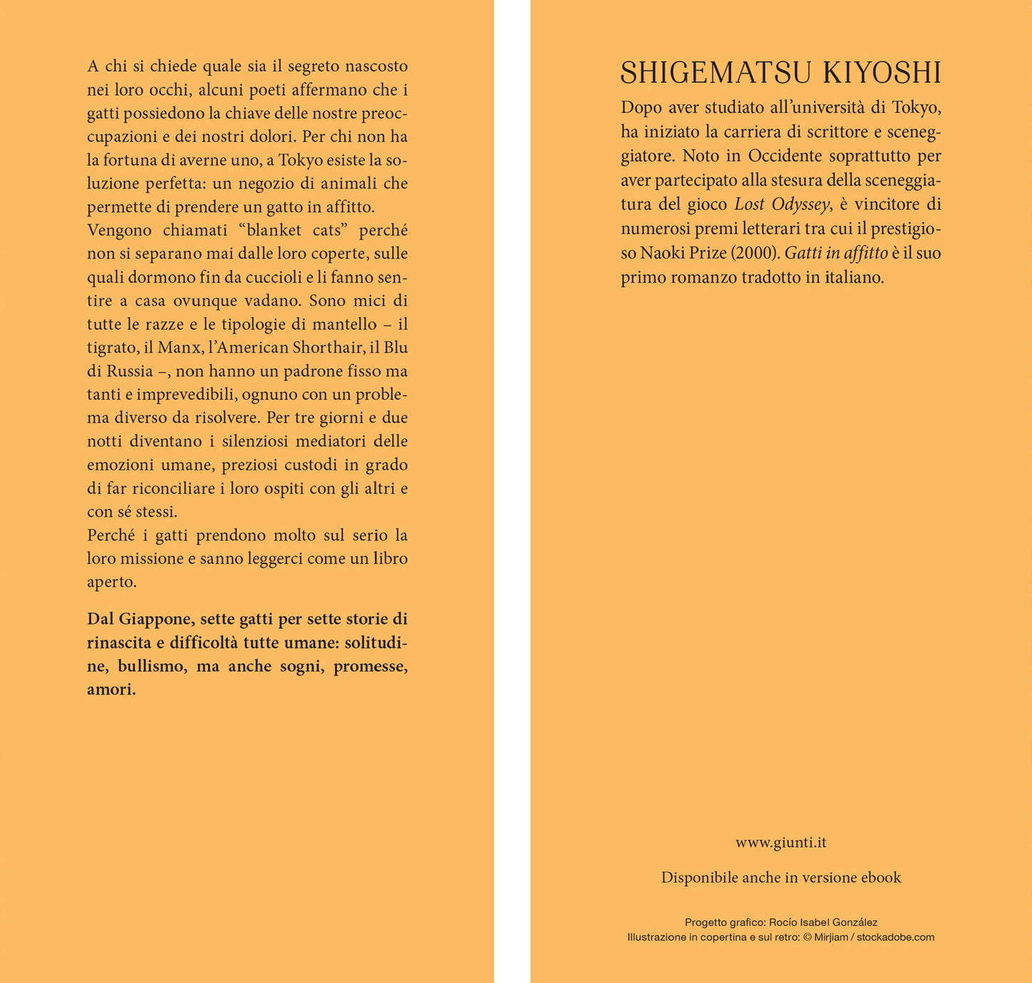 Gatti in affitto::Tre giorni e due notti con un gatto