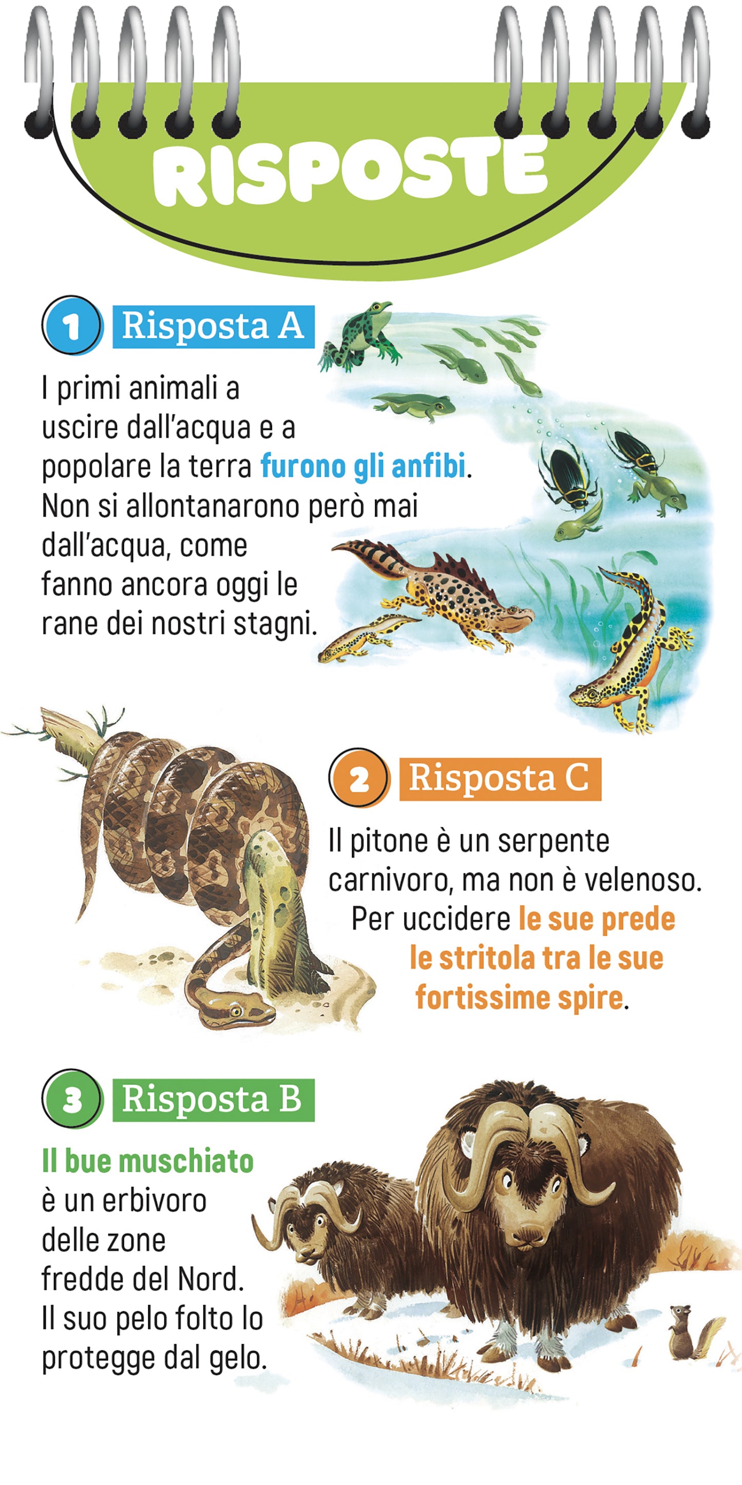 120 Quiz per tutta la famiglia