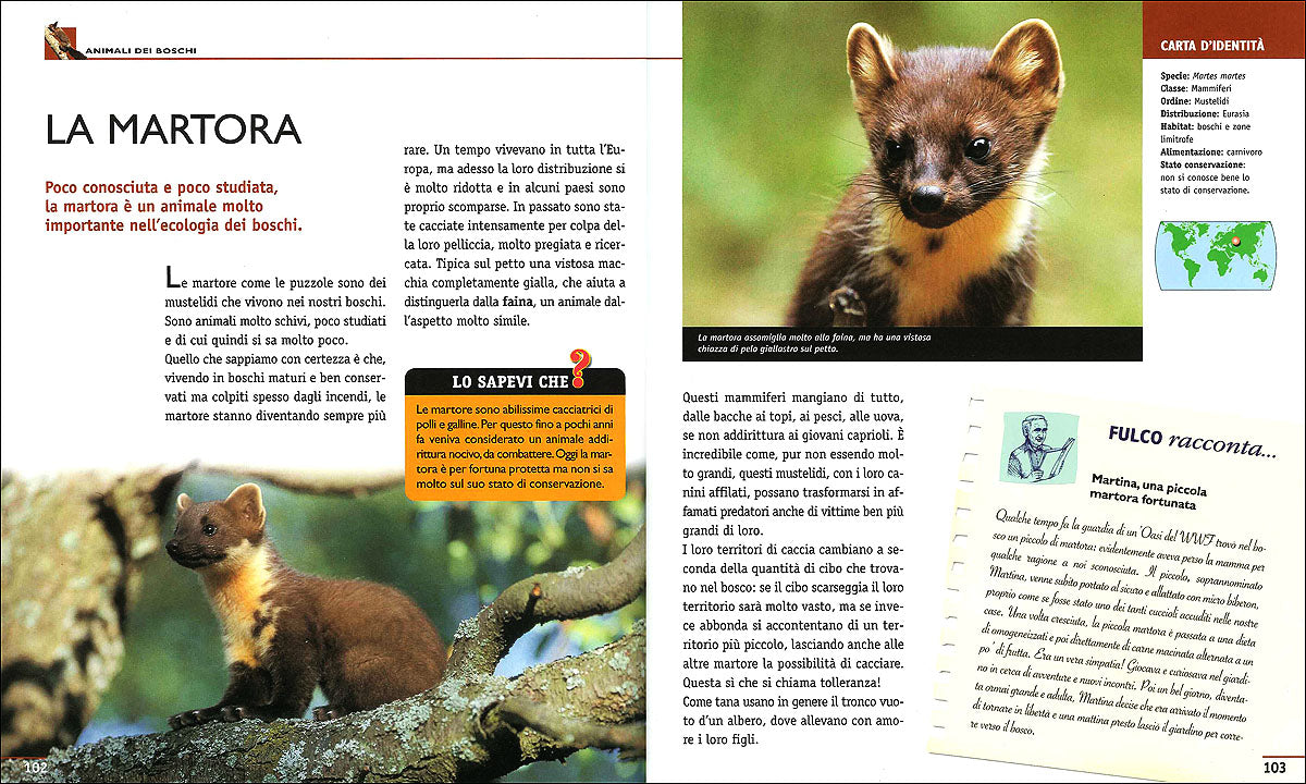 Nel mondo degli animali