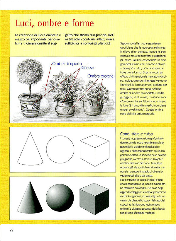 Corso di disegno per principianti
