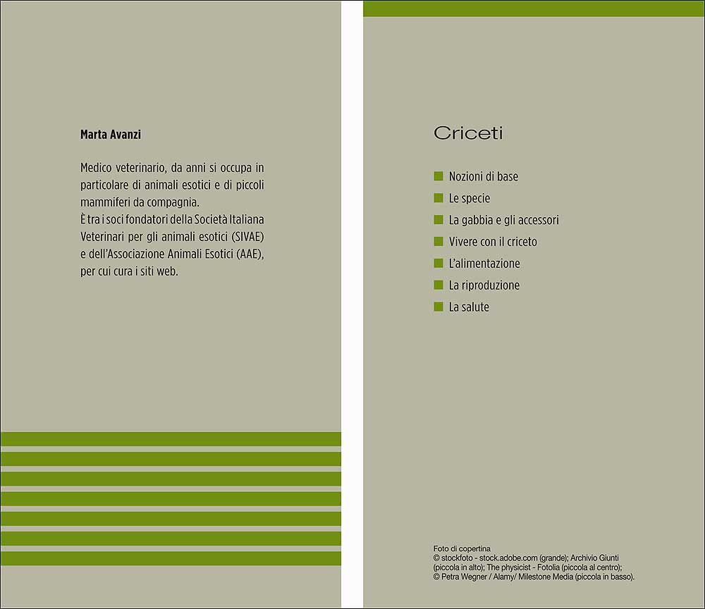 Criceti::Caratteristiche - Comportamento - Allevamento - Riproduzione - Alimentazione - Igiene - Salute
