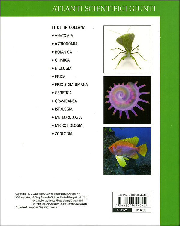 Zoologia::Caratteri generali e tipici degli animali. Gli invertebrati: caratteristiche e classificazione. Vertebrati: anatomia, caratteristiche e classificazione.