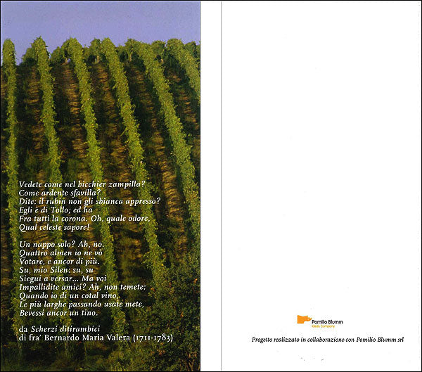 Montepulciano d'Abruzzo::Un grande Vino