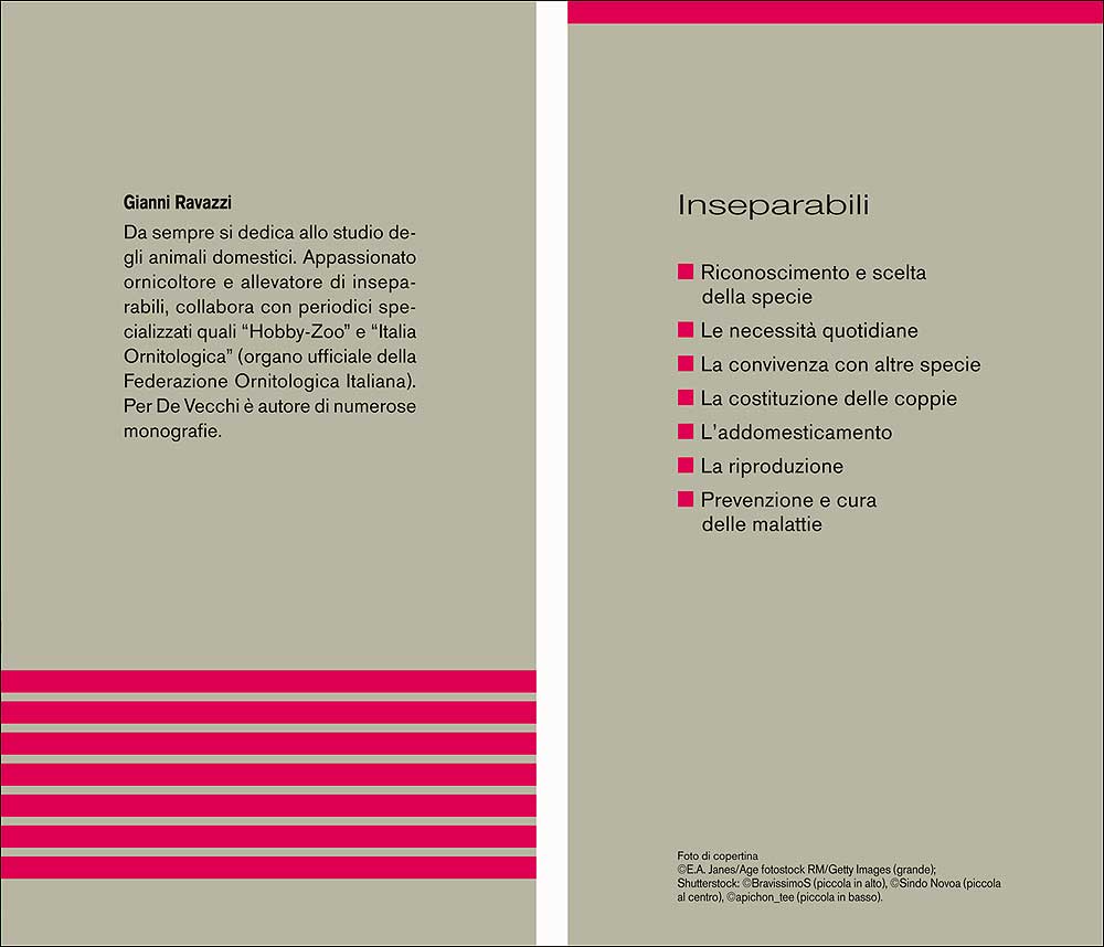 Inseparabili::Caratteristiche - Comportamento - Allevamento - Riproduzione - Alimentazione - Igiene - Salute