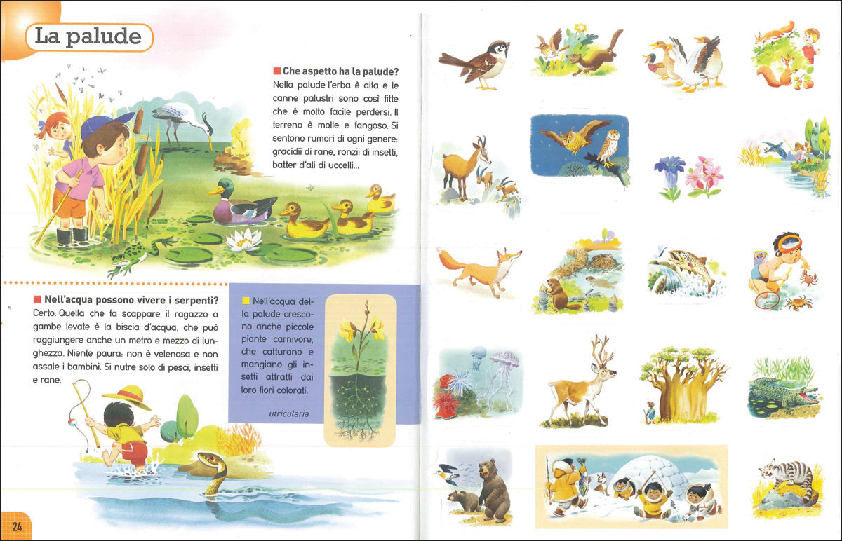 Ambienti::Con stickers e quiz