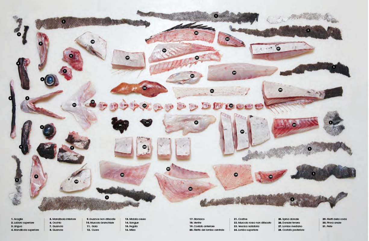 Il Grande libro del pesce::Nuovi modi per cucinarlo, mangiarlo e pensarlo