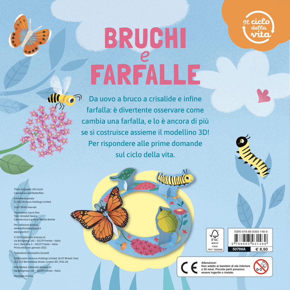 Bruchi e farfalle – Il ciclo della vita