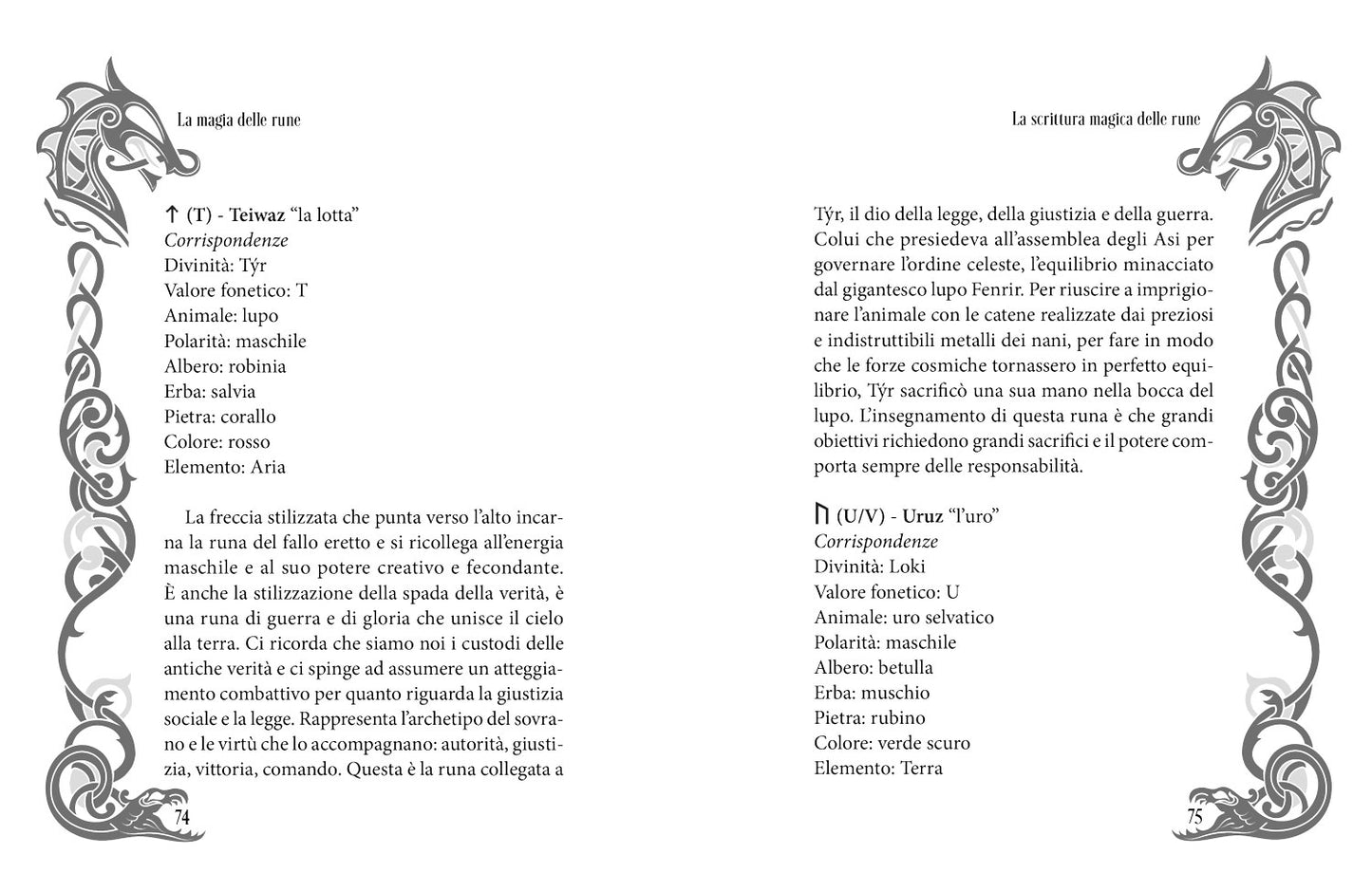 I segreti delle rune