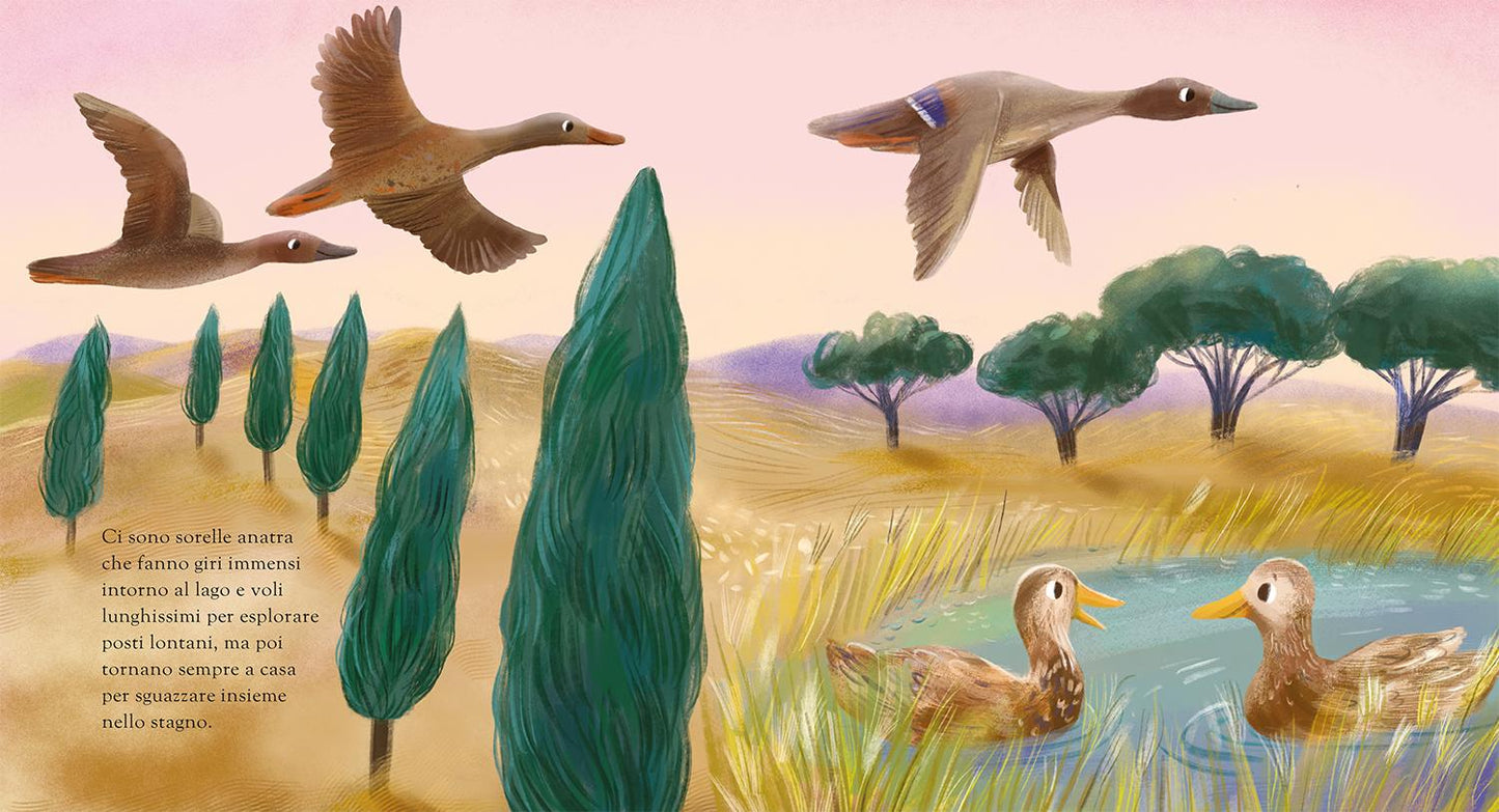 Ci sono fratelli, ci sono sorelle