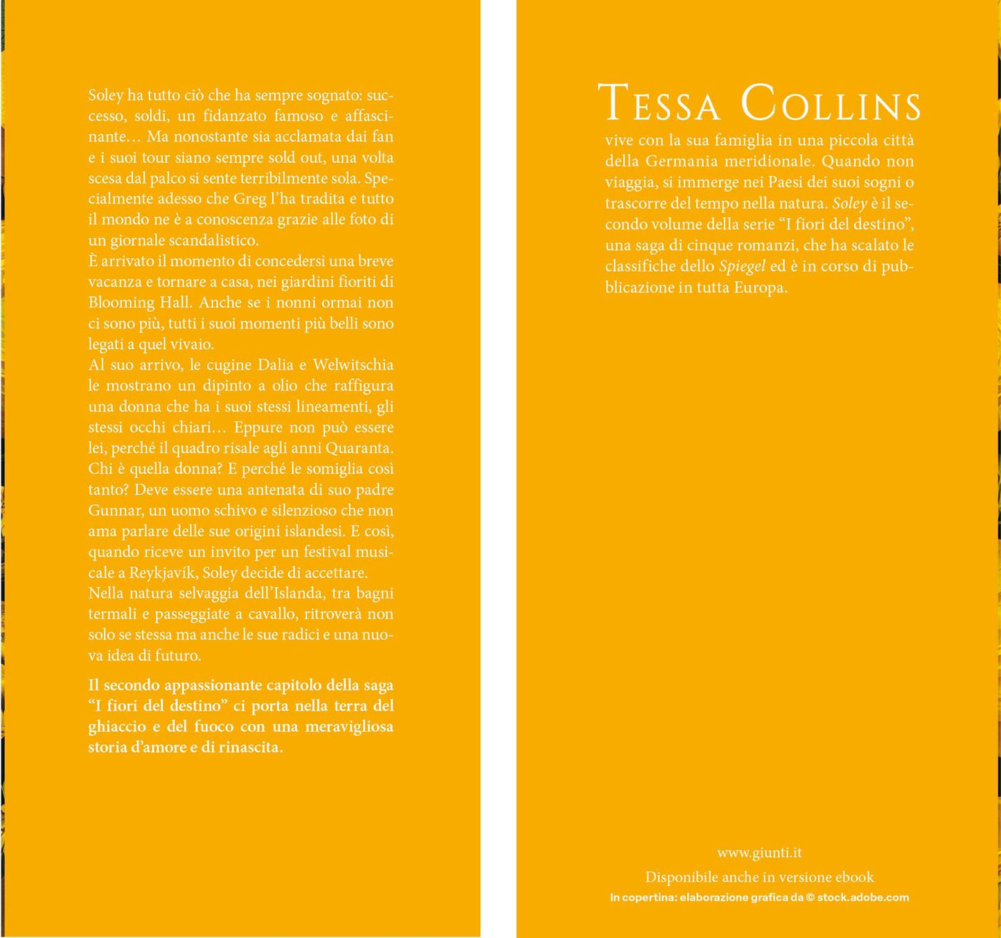 Soley::I fiori del destino – vol. 2