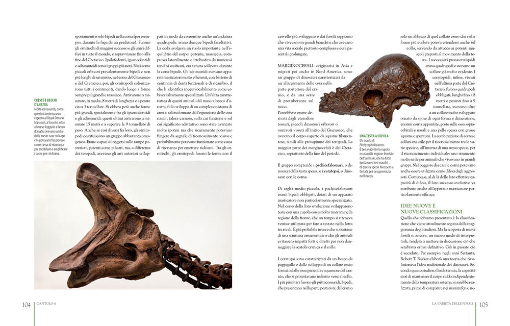 Dinosauri ::misteri svelati e buove incognite