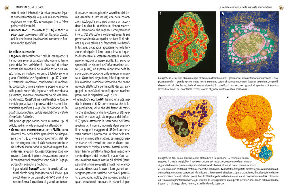 Sistema immunitario