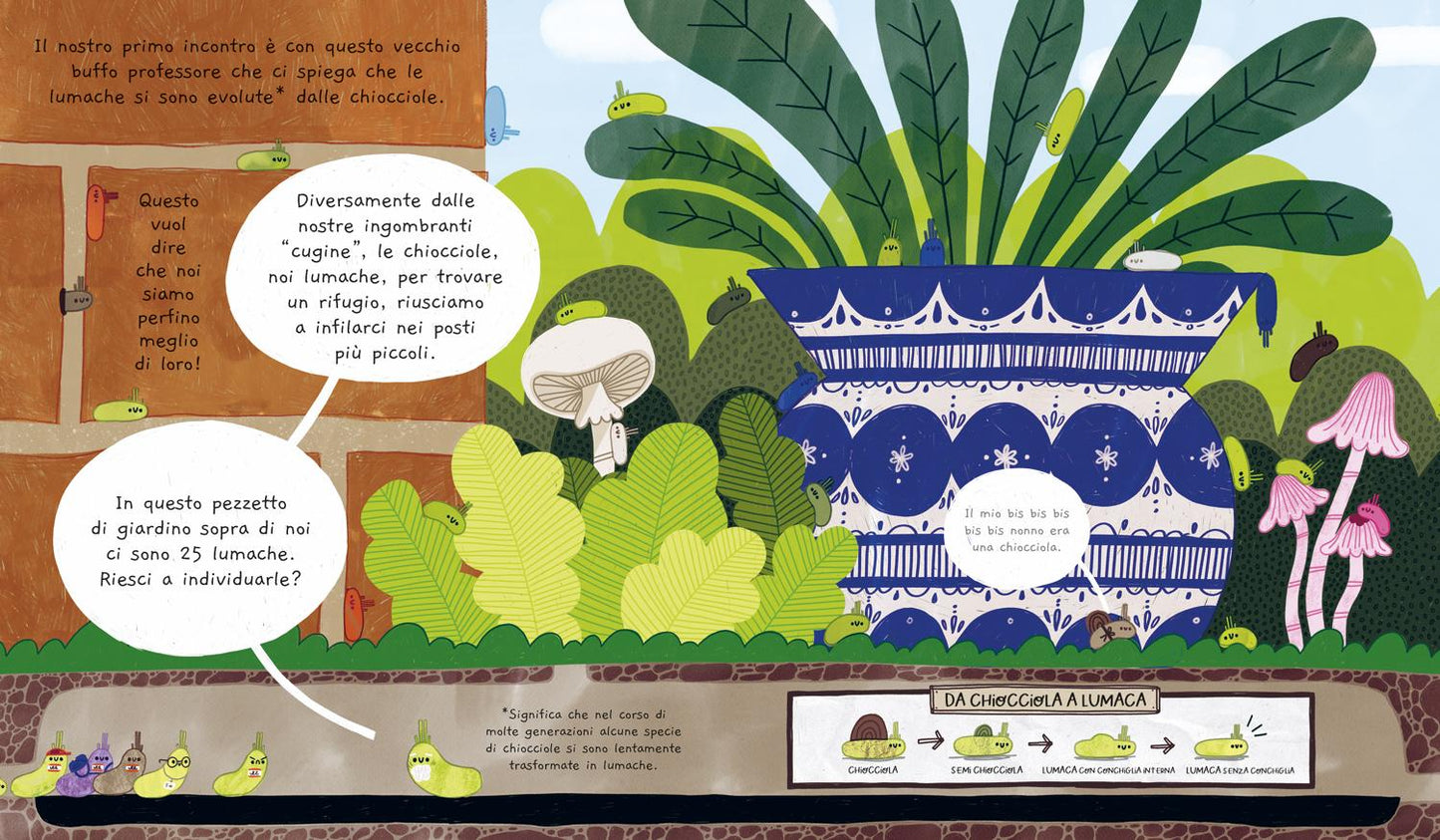 Una vita da lumaca::Viscido è bello!