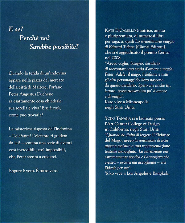 L'elefante del mago