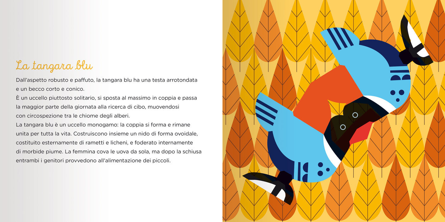 UCCELLI