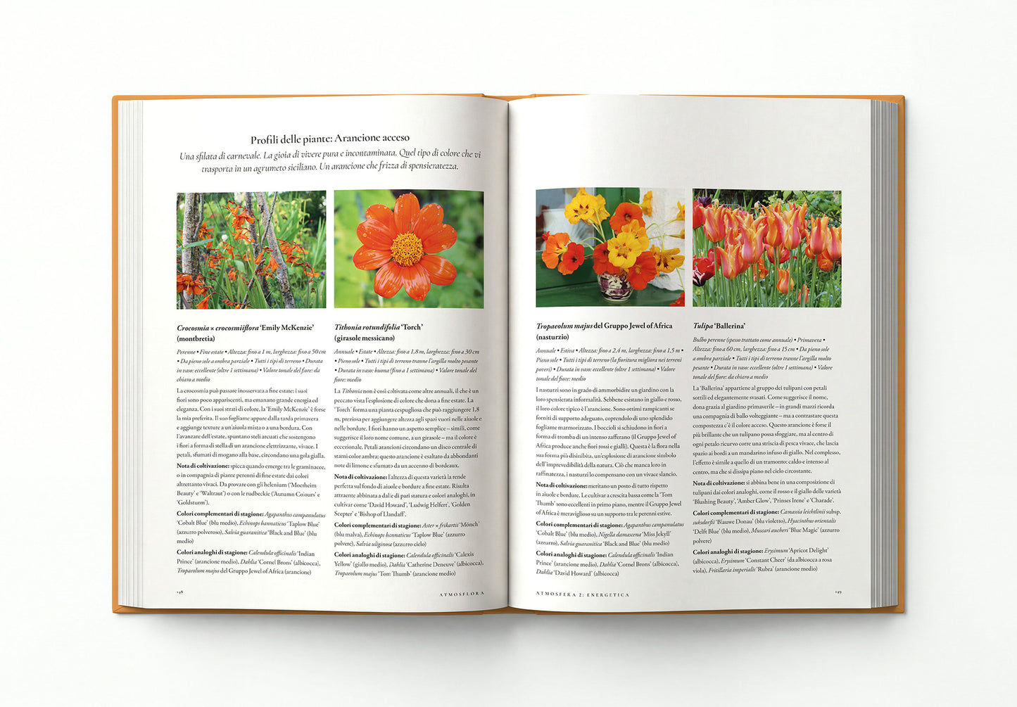 ATMOSFLORA::Flower Design e studio dei colori per la casa e il giardino