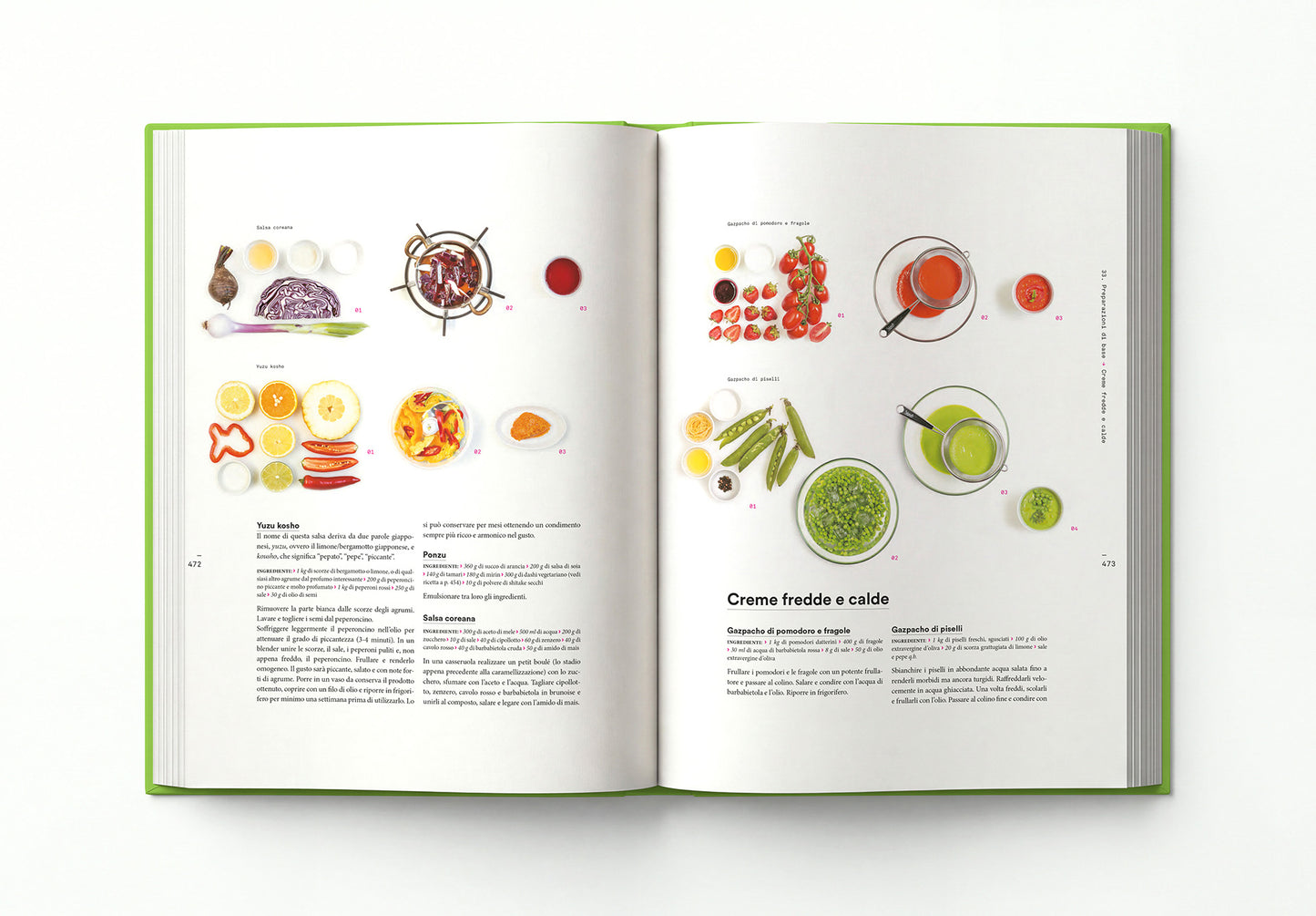 IL CODICE DELLA CUCINA VEGETARIANA