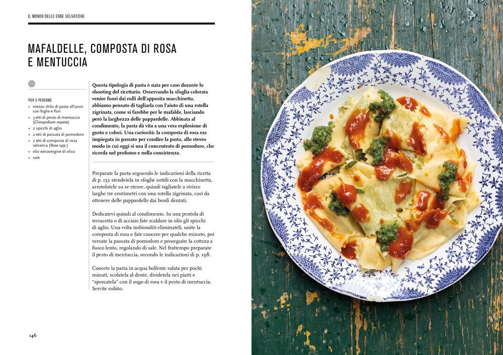 IL MONDO DELLE ERBE SELVATICHE::TORNARE A RICONOSCERLE, RACCOGLIERLE E USARLE IN CUCINA
