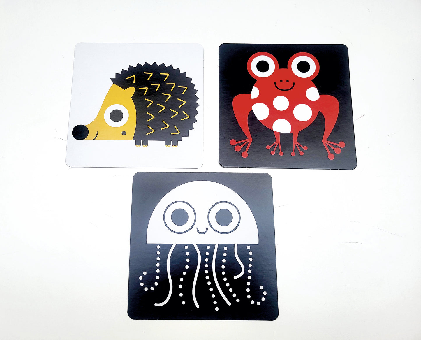 Animali::flash cards ad alta leggibilità