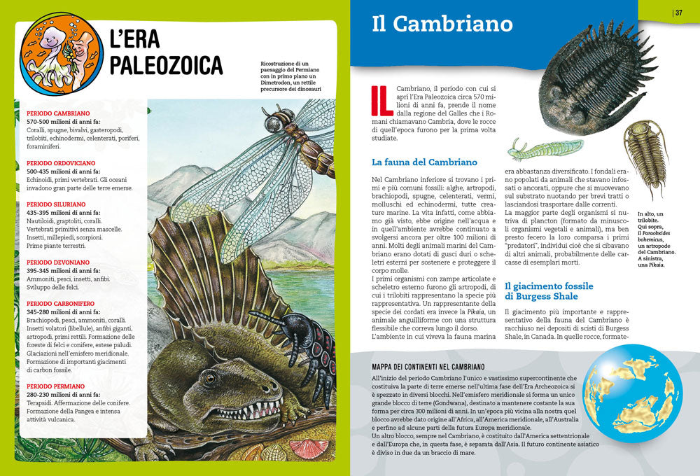 Preistoria. L'evoluzione della vita sulla Terra::Con tante immagini da ritagliare per le tue ricerche