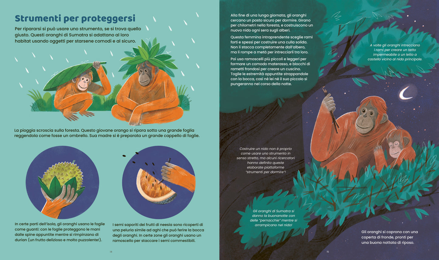 Animali ingegnosi::Scopri gli animali più ingegnosi del pianeta