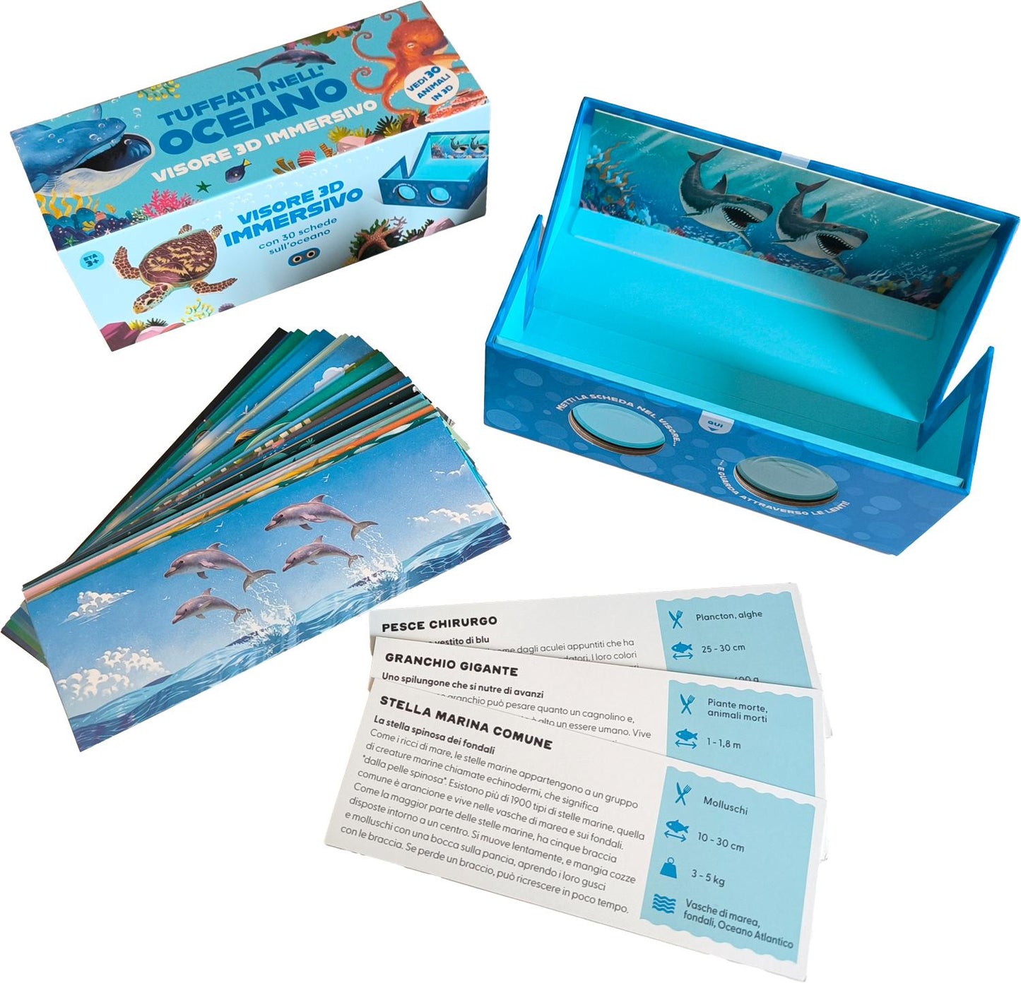Tuffati nell'oceano::Scopri i libri scatola che diventano visori 3D super immersivi!