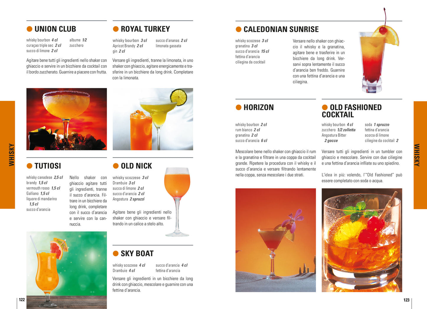 Cocktail::Ricette classiche e nuove da tutto il mondo