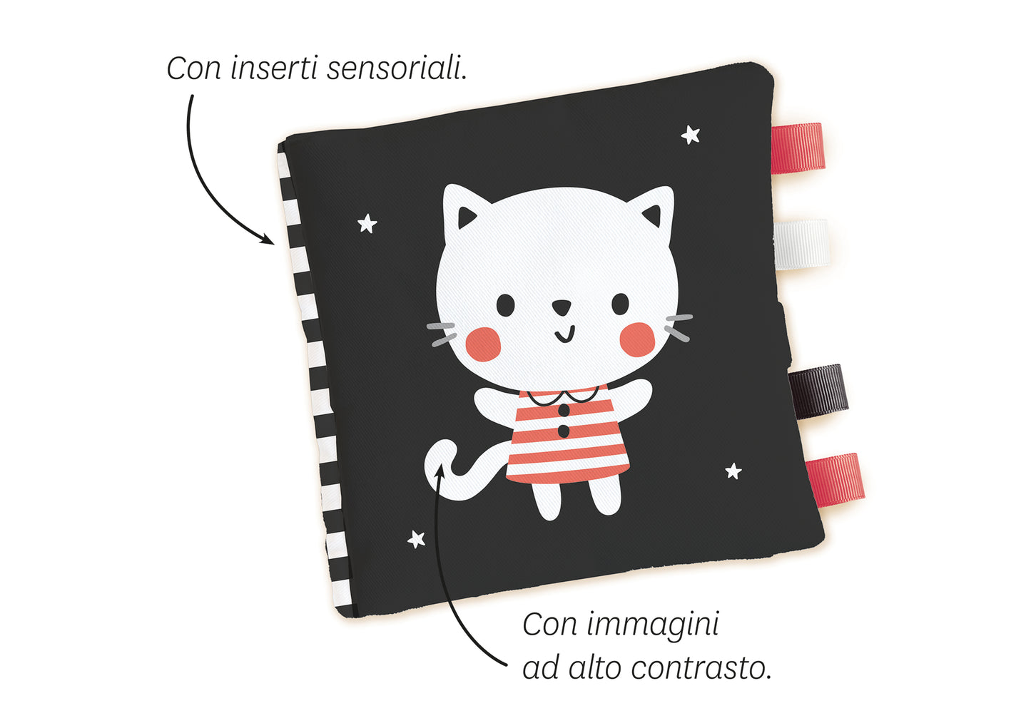 Il gattino