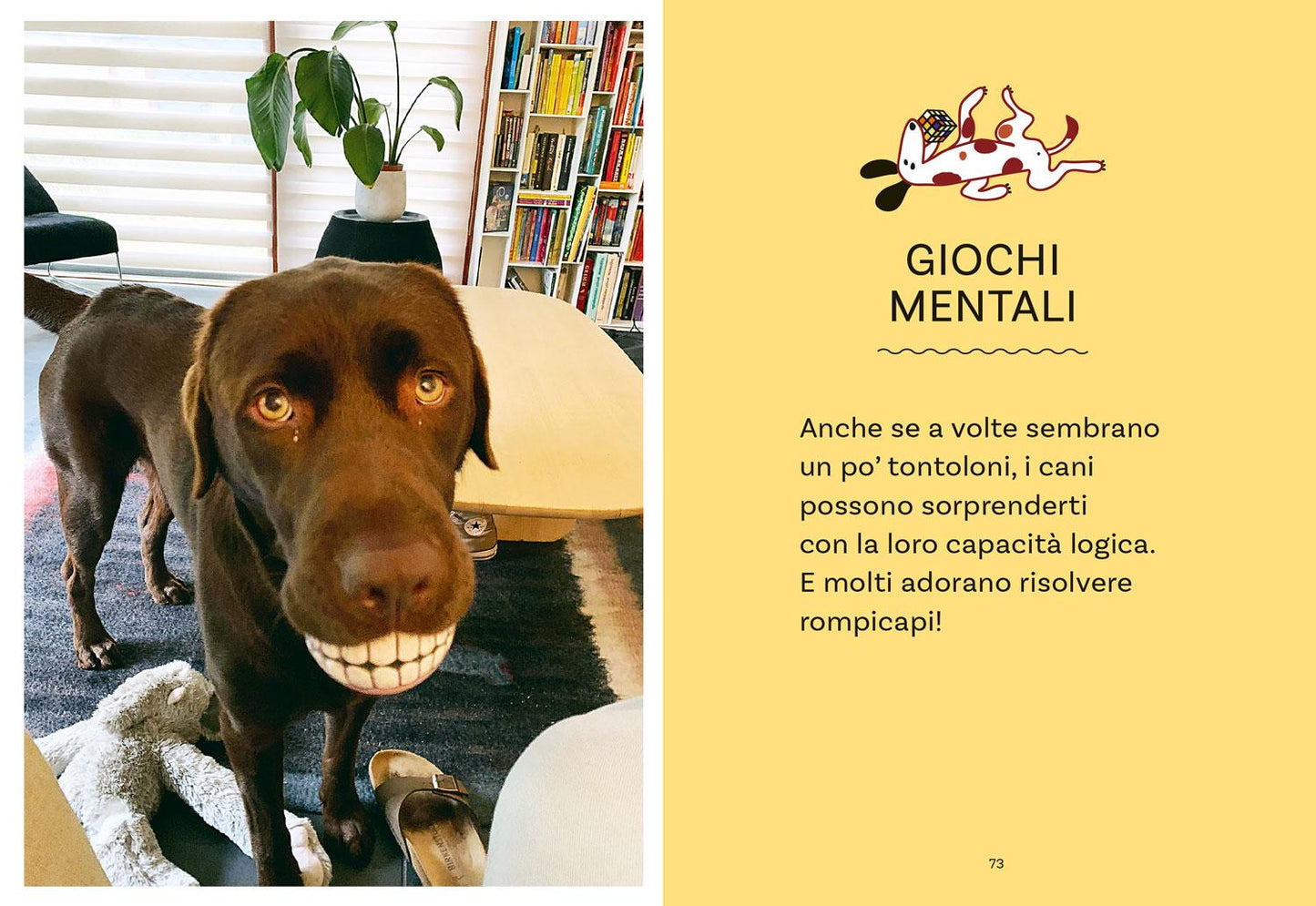 52 GIOCHI DA FARE CON IL TUO CANE