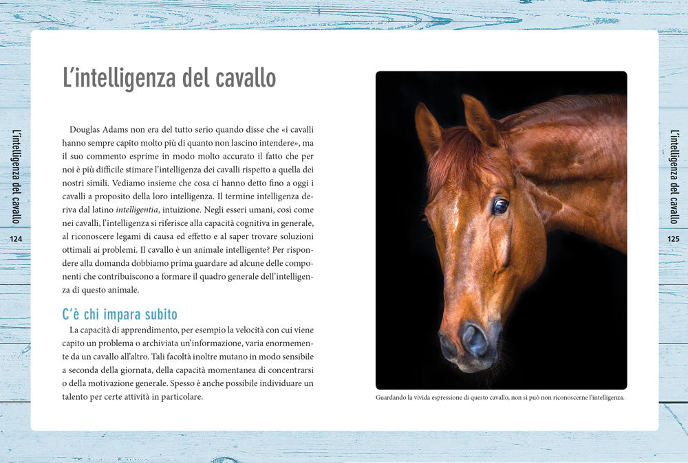 Nella mente del cavallo::Capire le sue emozioni, rispettare la sua intelligenza