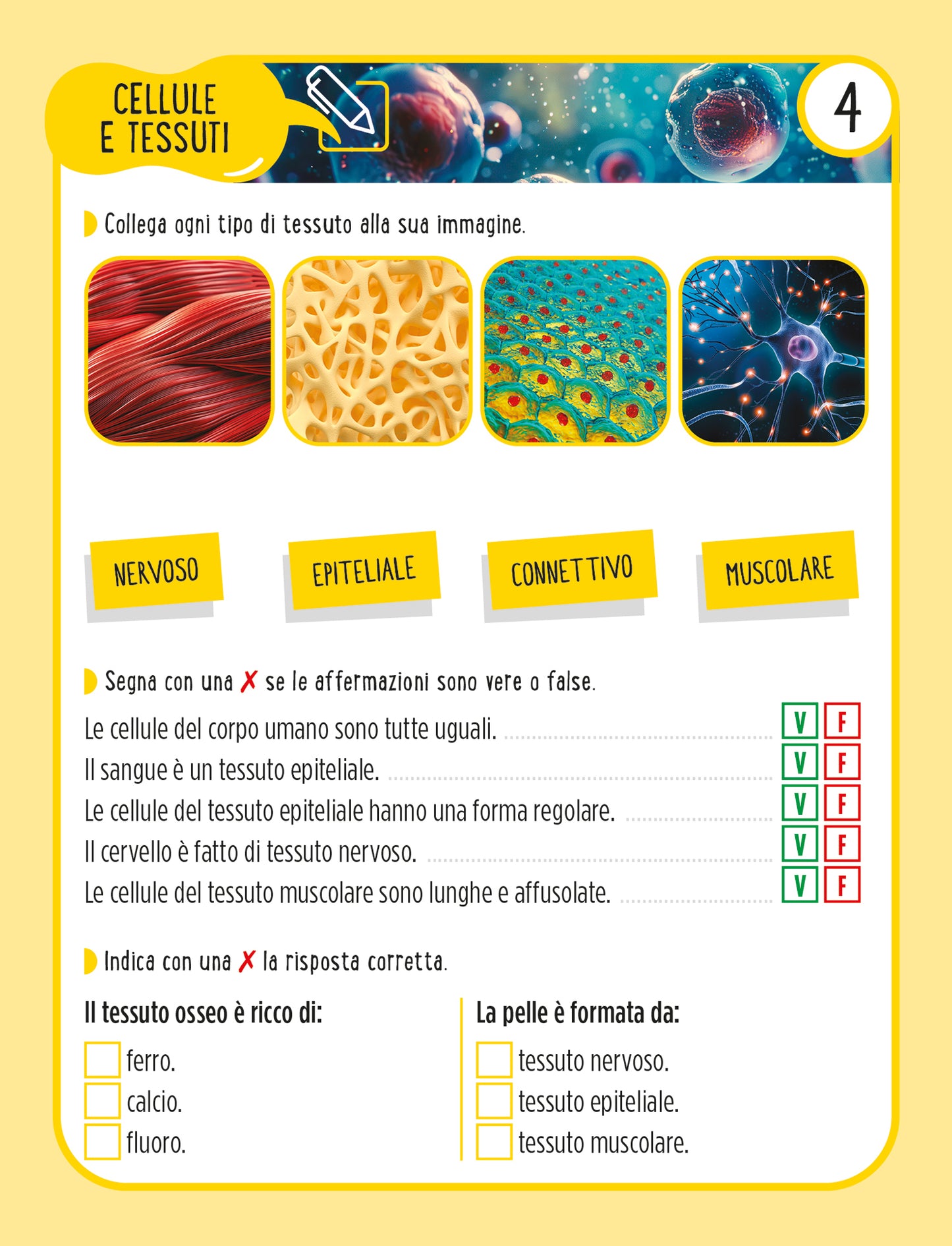 Il corpo umano