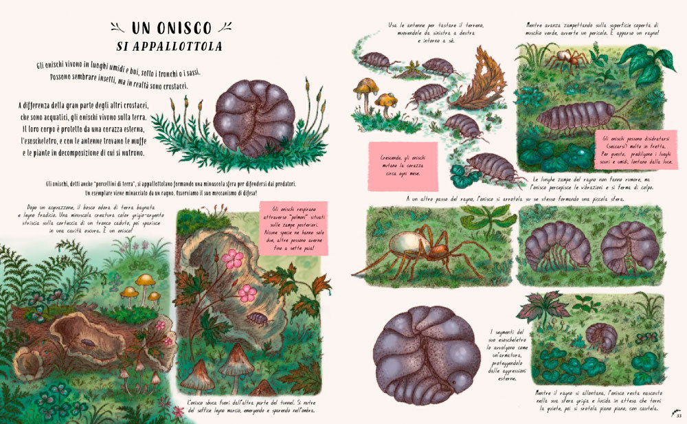 Piano piano... nel piccolo mondo::20 Storie per fermarti ad ammirare i piccoli incanti della natura
