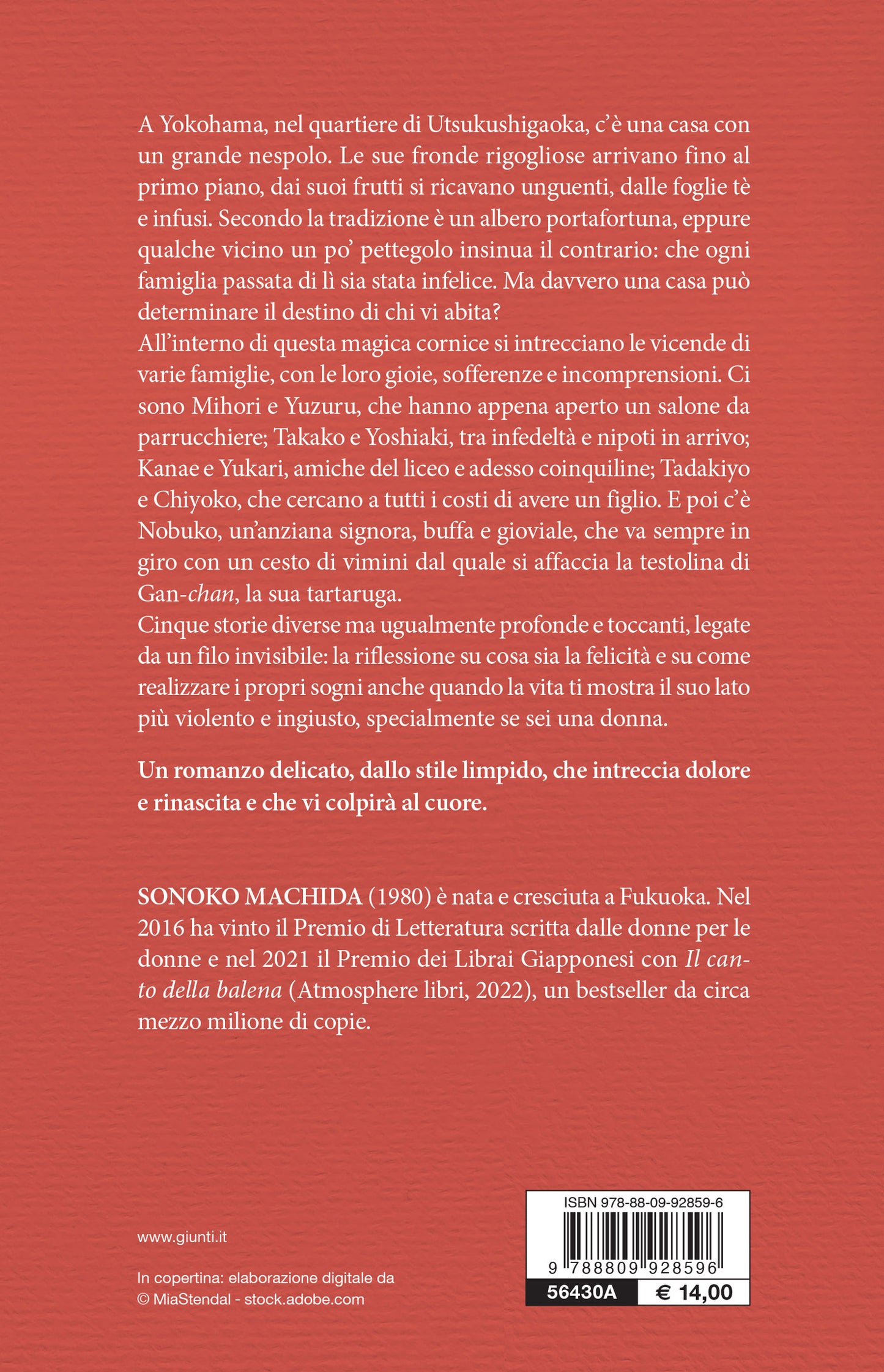 La casa del nespolo