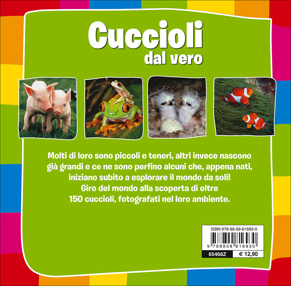 Cuccioli dal vero
