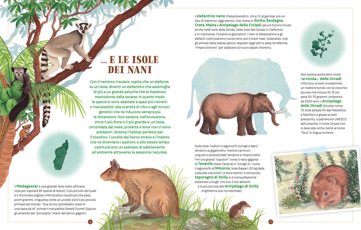 Un mondo di isole