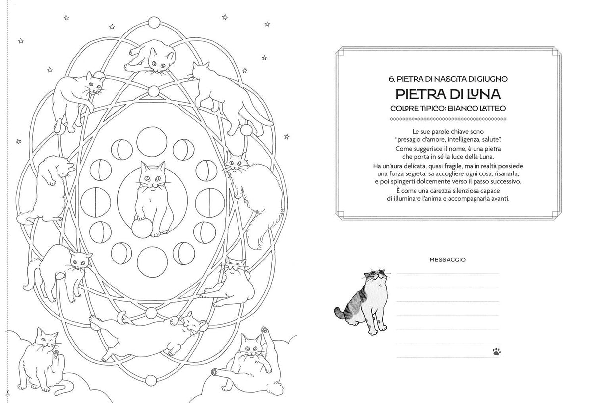 Mandala dei Gatti::Coloring Book per Cat Lovers