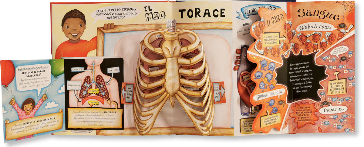 Grande libro pop-up del corpo umano::Incredibili pop-up, curiosità e notizie!