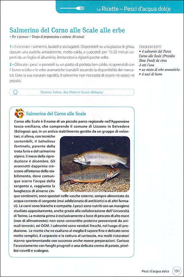 Il pesce