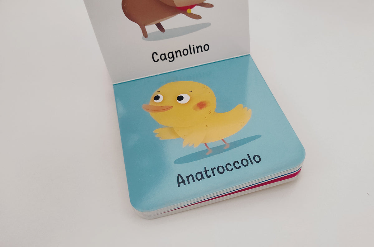 Cuccioli
