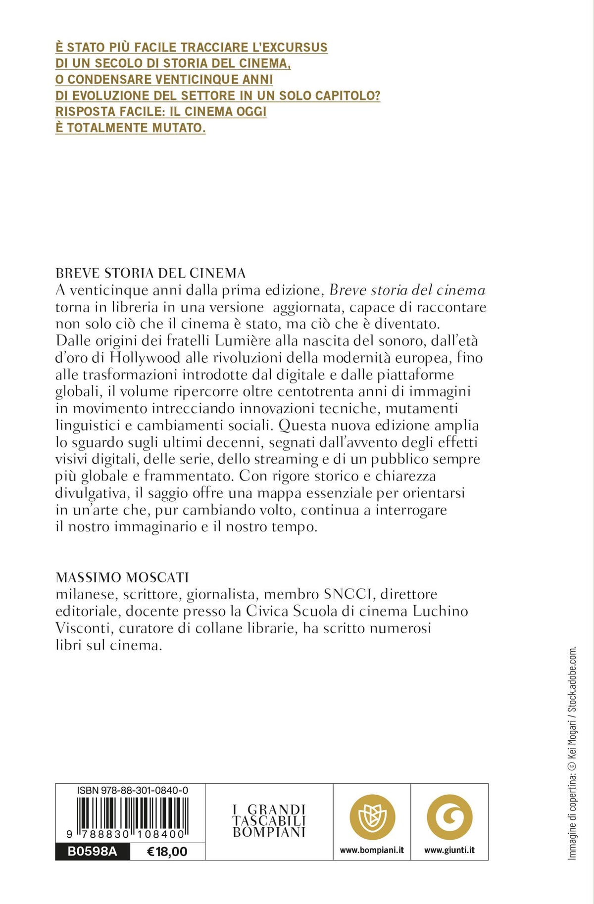 Breve storia del cinema