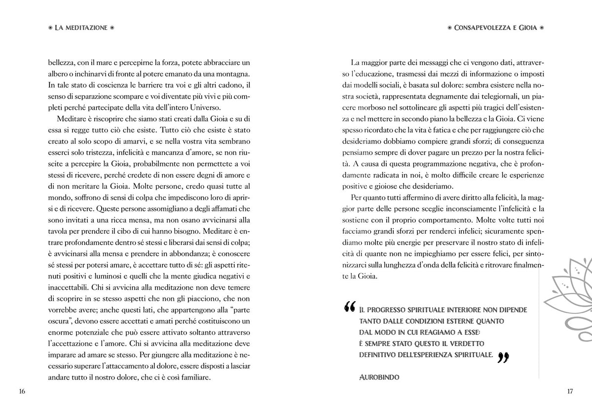 Meditazione::La riscoperta dell'armonia