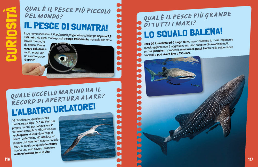 Mari e oceani