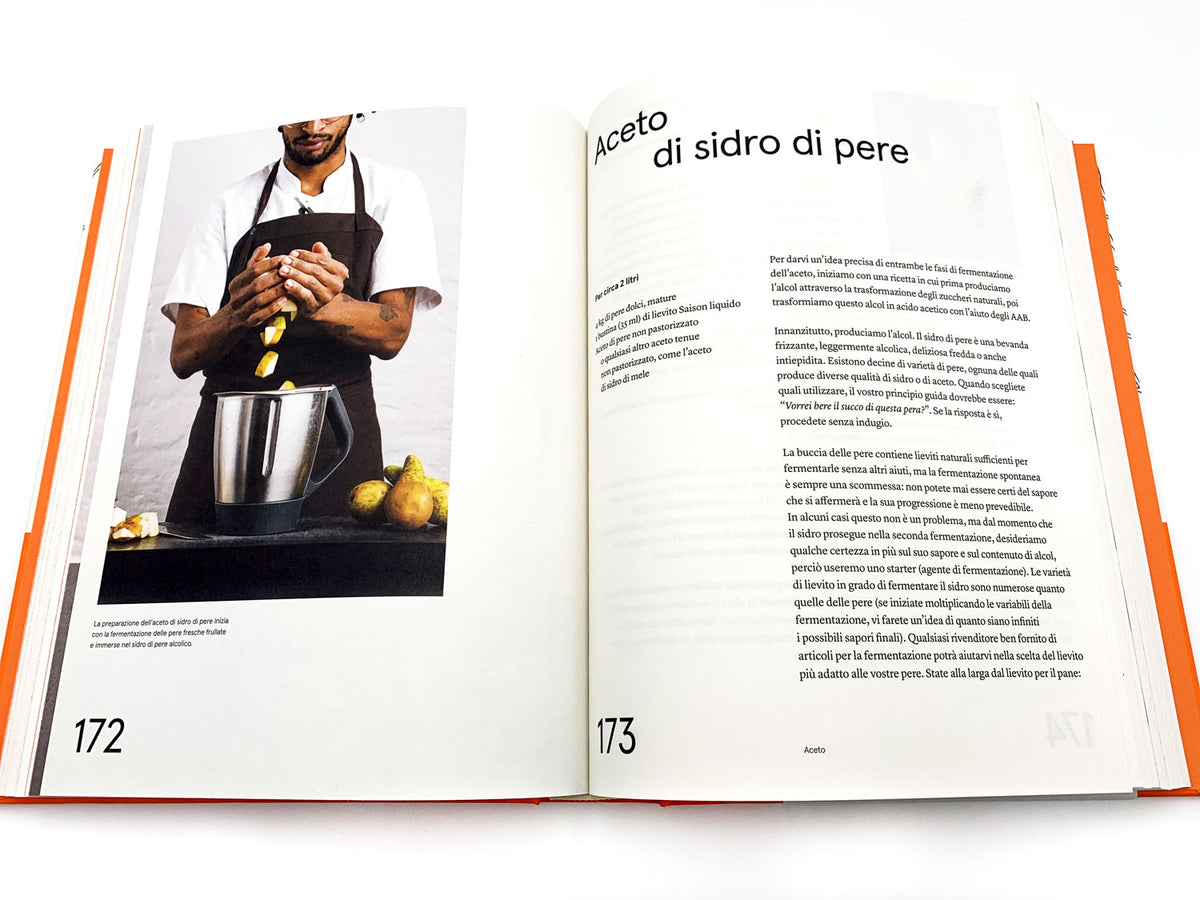 Noma. La guida alla fermentazione