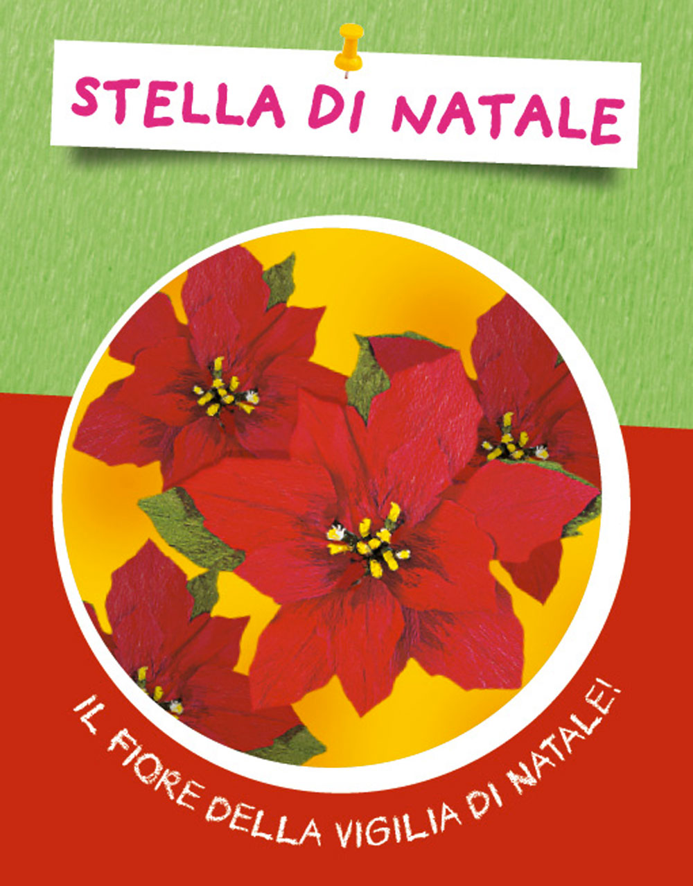 Fiori di carta::Bellissimi fiori da realizzare - Tante curiosità sui fiori