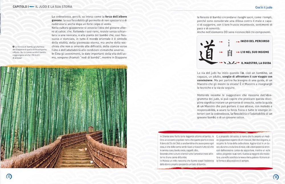 Il grande libro del Judo