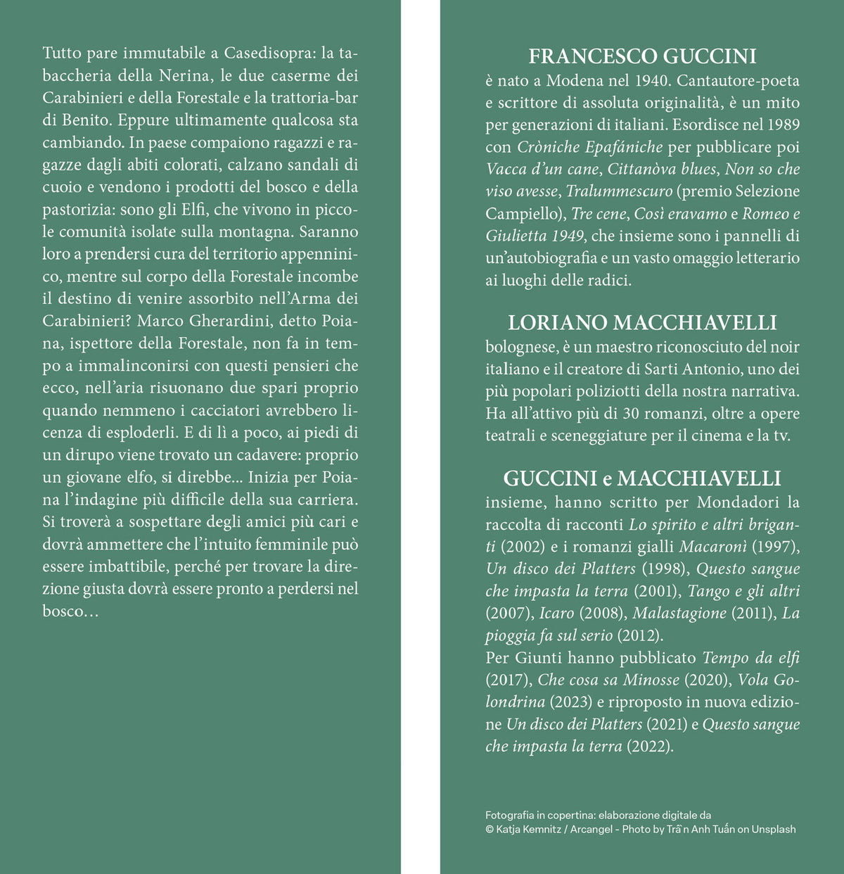 Tempo da elfi