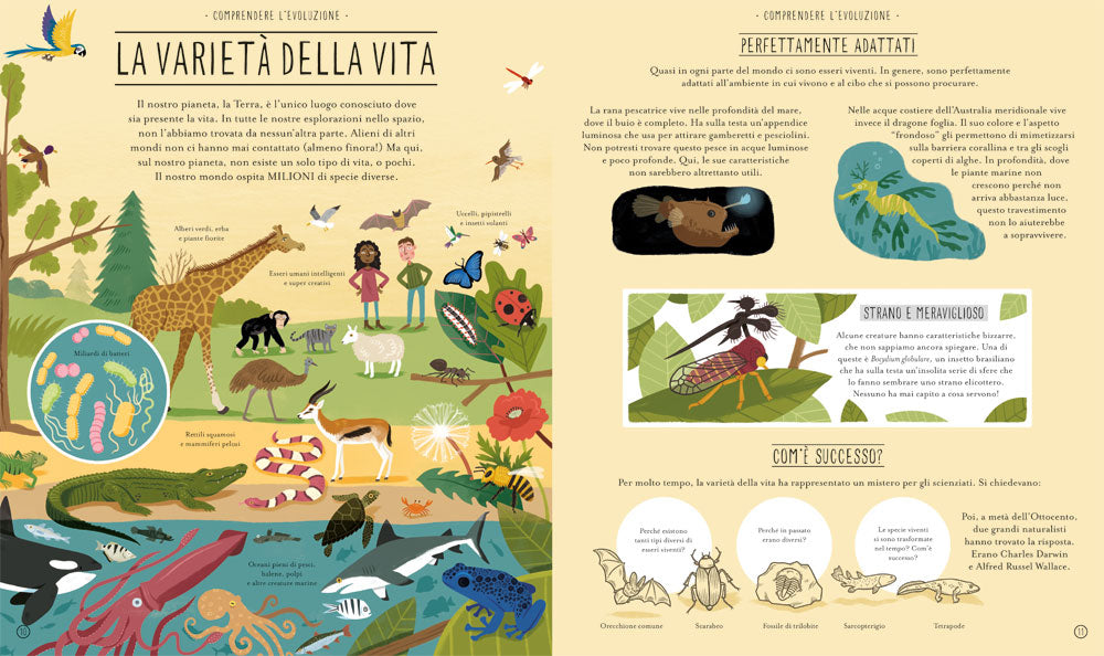Meravigliosa evoluzione::Il viaggio della vita